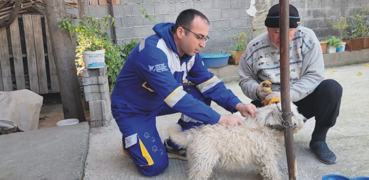 Osmaniye’de Kaza Sonrası Felçli Kalan Anne Ve Kızı, Sahiplendikleri İki Köpekle Hayata Devam Ediyor