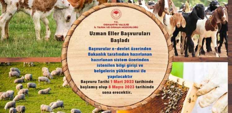 Kırsal Kalkınma Yatırımları Kapsamında Kırsal Kalkınmada Uzman Eller Projesi ile 250.000 TL ye Kadar Hibe Desteği