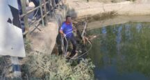 Kadirli’de Sulama Kanalında Kadın Cesedi Bulundu