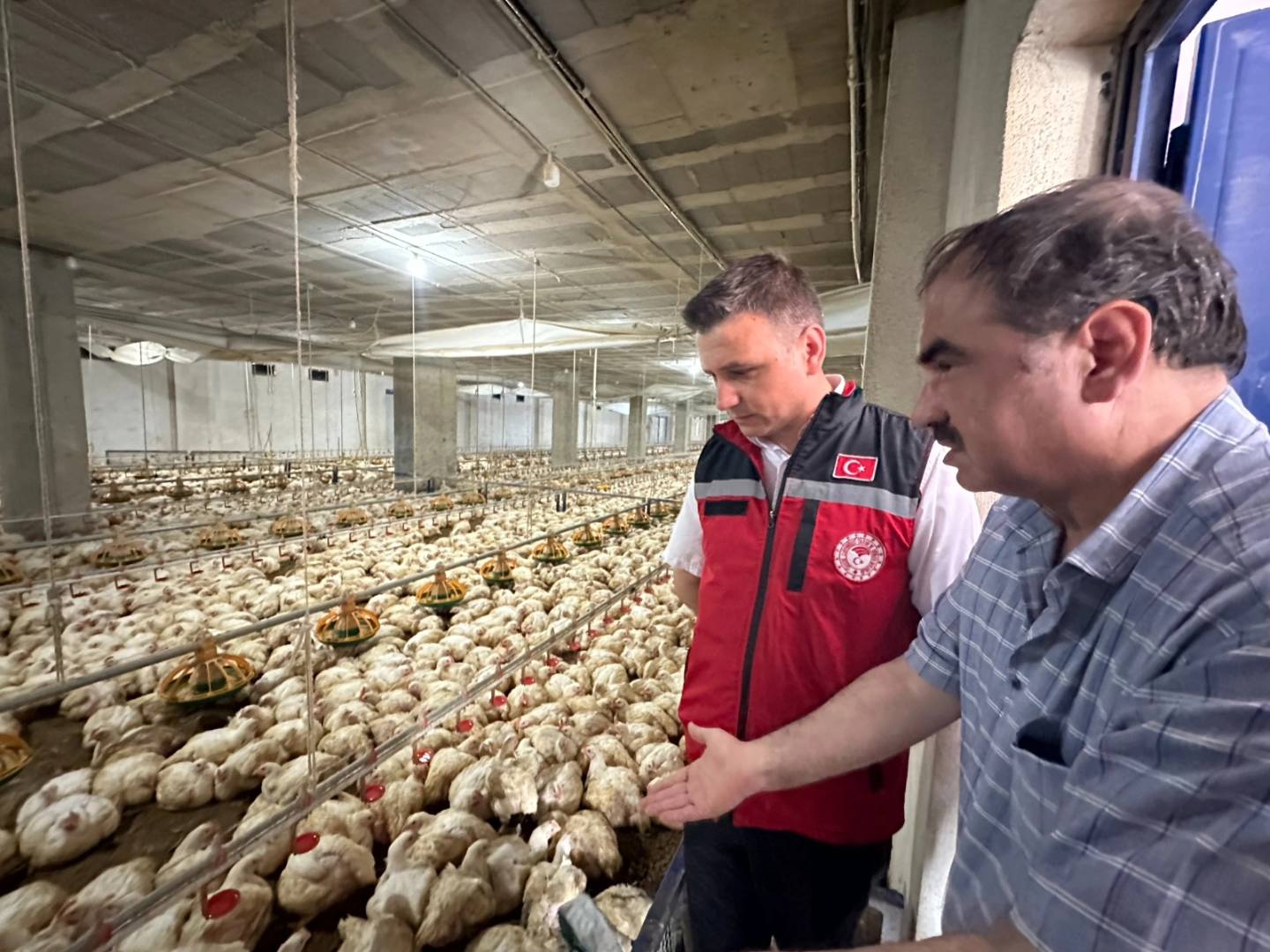 Müdür Erdem Kolabaş, Tavuk Çiftliğini Ziyaret Etti