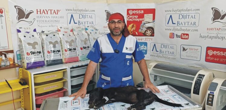 Çöp Konteynerine Bırakılan Yaralı Köpek Tedavi Altına Alındı