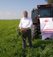 Osmaniye’de Yerfıstığı Hasat’ı Başladı