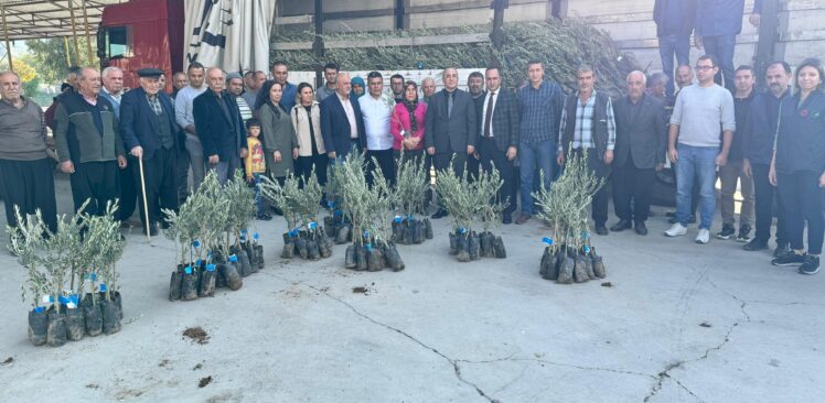 Düziçi’nde Zeytin Fidanı Dağıtıldı