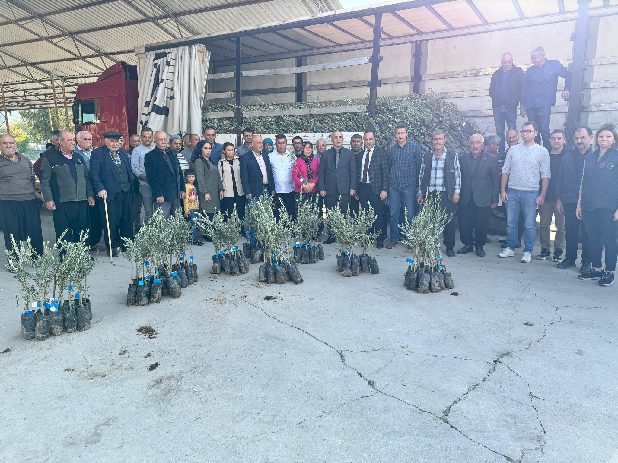 Düziçi’nde Zeytin Fidanı Dağıtıldı