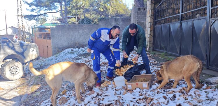 Osmaniye’de Kar Yağışıyla Nedeniyle 1 Ton’a Yakın Gıda Dağlara Bırakıldı