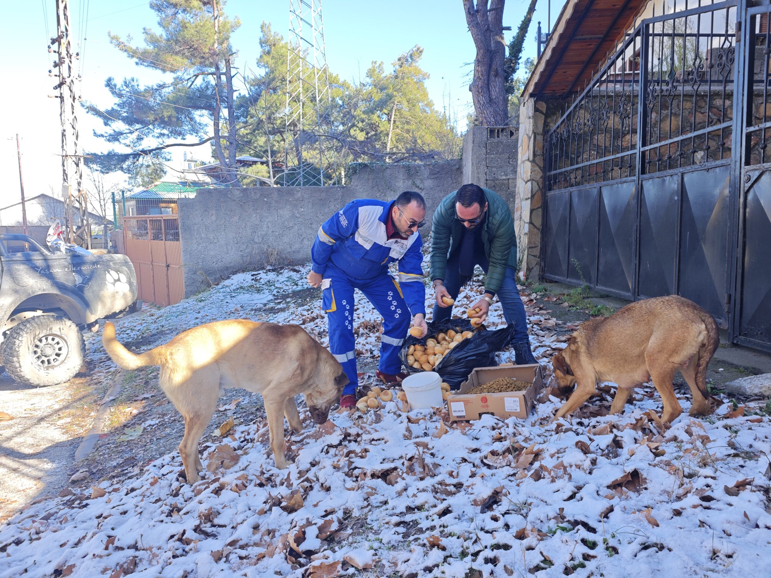 Osmaniye’de Kar Yağışıyla Nedeniyle 1 Ton’a Yakın Gıda Dağlara Bırakıldı