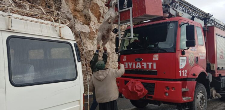 Kayalıklarda Mahsur Kalan Keçileri İtfaiye Kurtardı